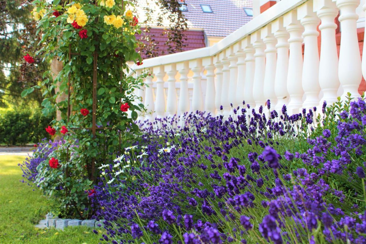 Rosen Villa Kappeln Esterno foto